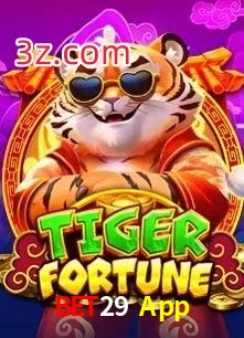 Bet29 App